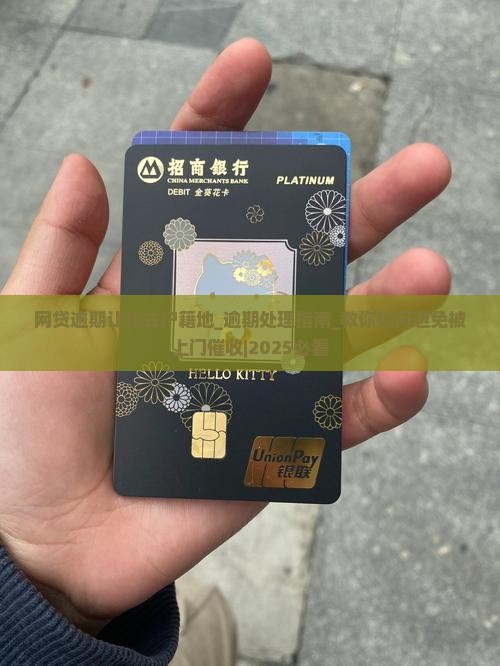 网贷逾期让我去户籍地