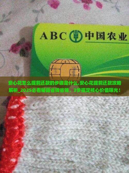 安心花怎么提前还款的步骤是什么