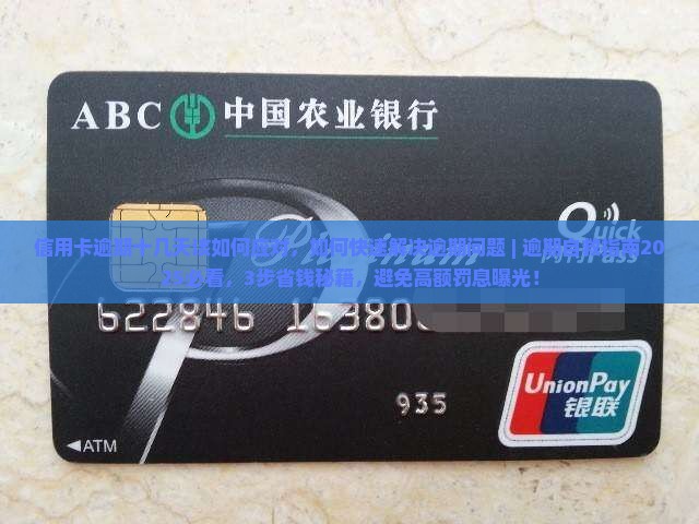 信用卡逾期十几天该如何应对