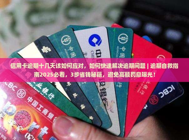 信用卡逾期十几天该如何应对