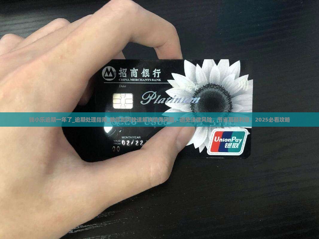 钱小乐逾期一年了应该如何处理 钱小乐逾期一年了应该如何处理