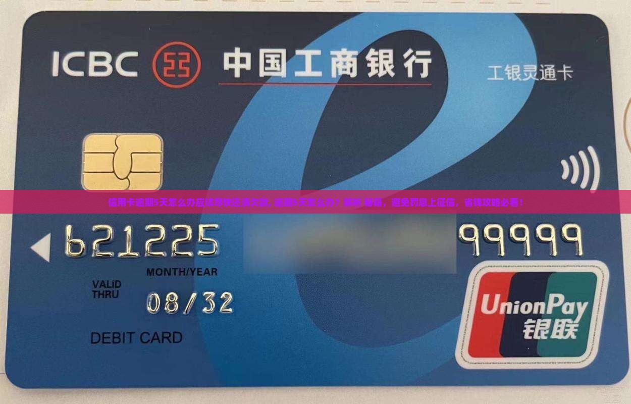 信用卡逾期5天怎么办应该尽快还清欠款