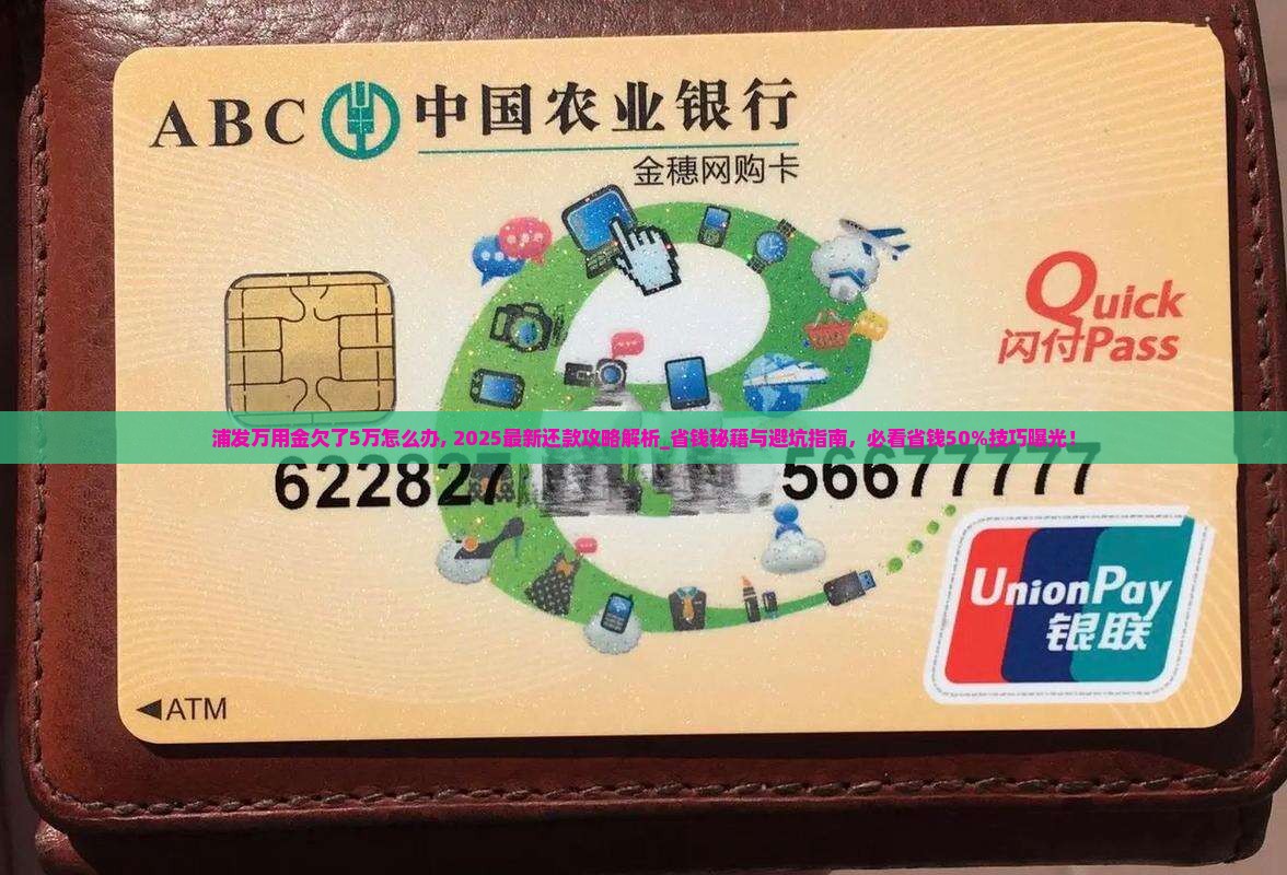 浦发万用金欠了5万怎么办