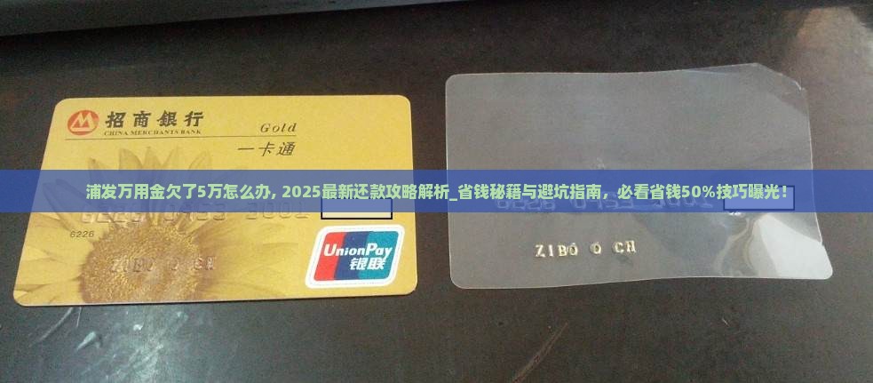 浦发万用金欠了5万怎么办
