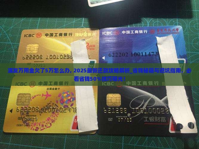 浦发万用金欠了5万怎么办