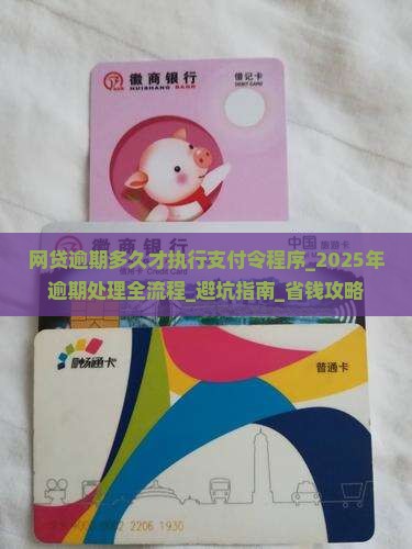 网贷逾期多久才执行支付令程序