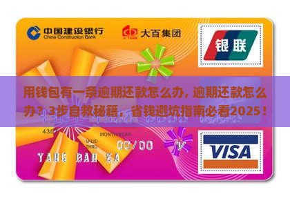 用钱包有一条逾期还款怎么办