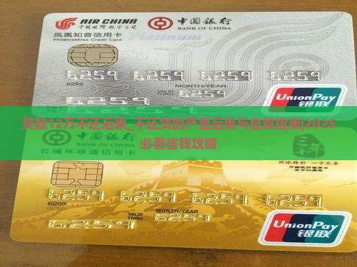 贷款12万不还后果