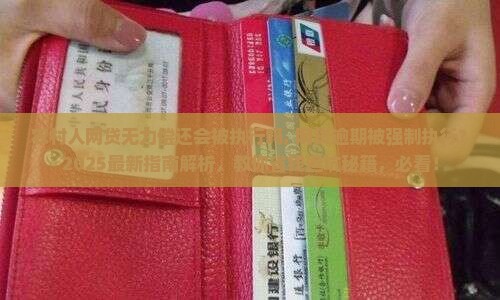 农村人网贷无力偿还会被执行吗