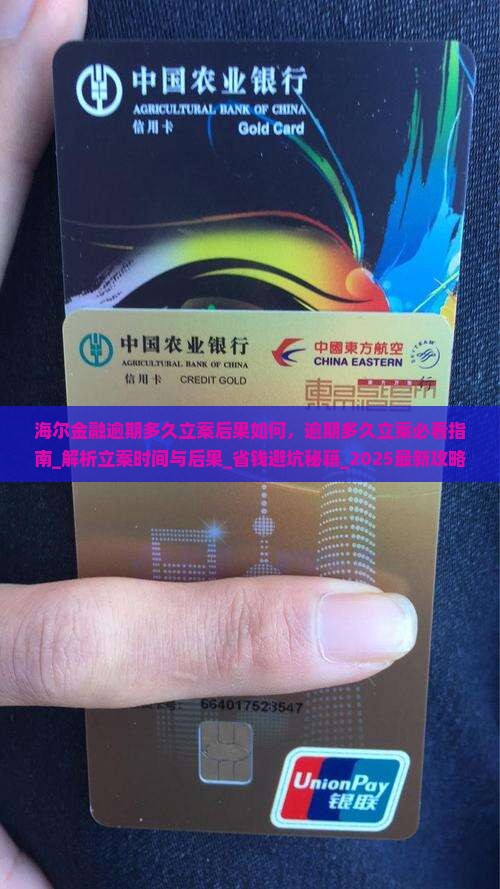 海尔金融逾期多久立案后果如何