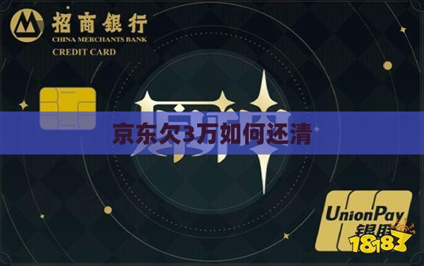 京东白条欠3万如何还清