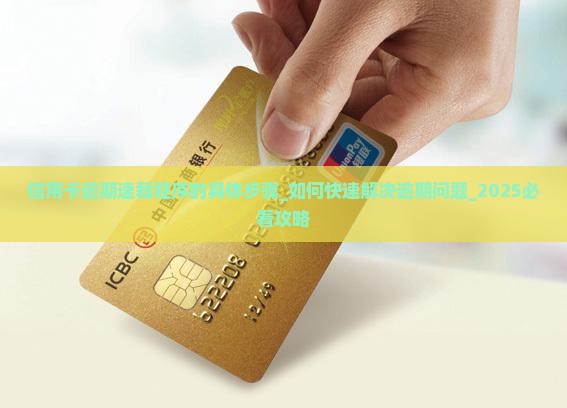 信用卡逾期速裁程序的具体步骤