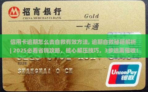 信用卡逾期怎么去自救有效方法