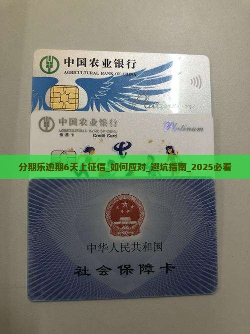 分期乐逾期6天上征信