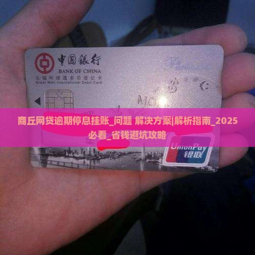 商丘网贷逾期停息挂账具体操作方法
