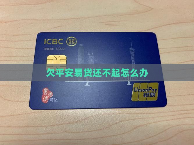 欠平安易贷还不起怎么办