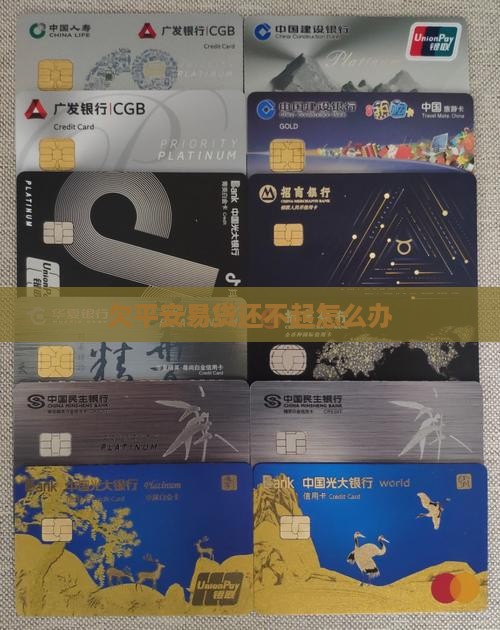 欠平安易贷还不起怎么办