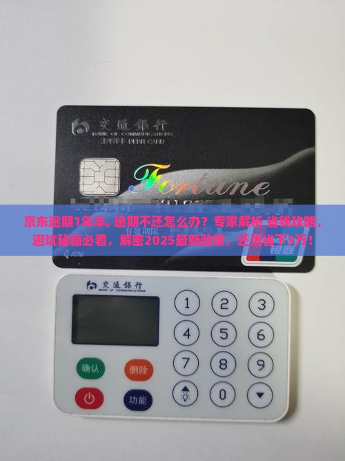京东白条逾期1年半