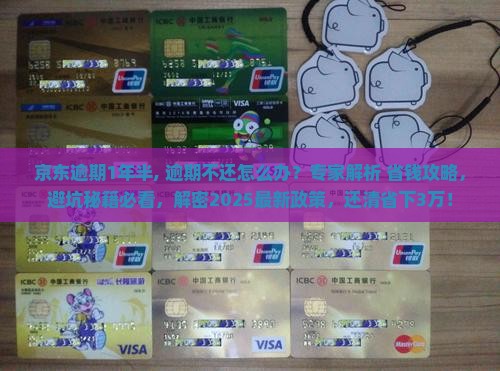 京东白条逾期1年半