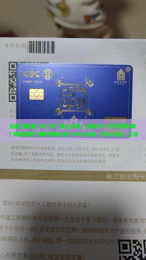 拍拍贷逾期1597天了怎么办呢