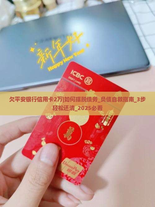 欠平安银行信用卡2万