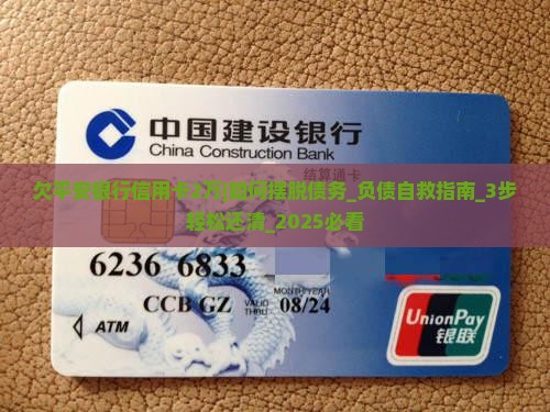 欠平安银行信用卡2万