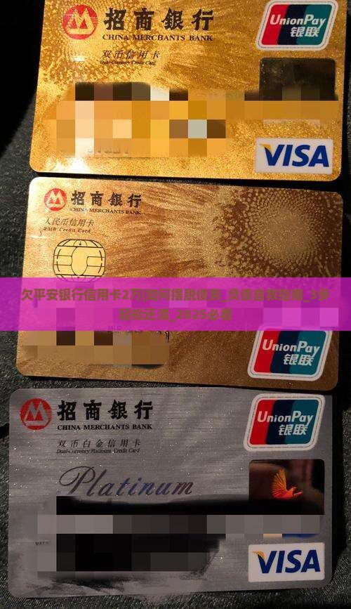 欠平安银行信用卡2万