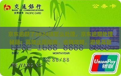 京东白条逾期了2024该怎么处理