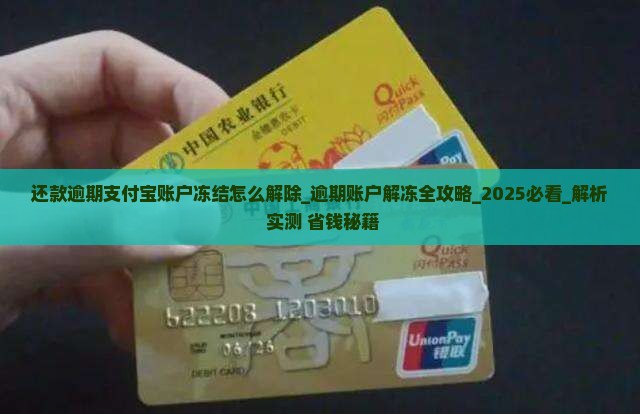 还款逾期支付宝账户冻结怎么解除