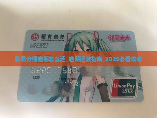 融易分期逾期怎么还