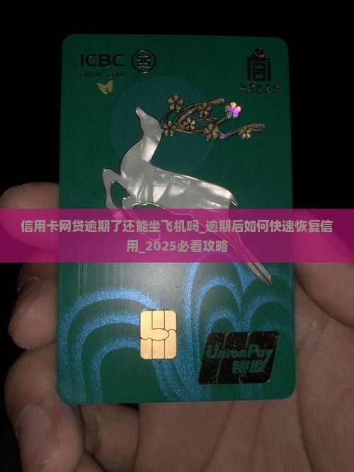 信用卡网贷逾期了还能坐飞机吗