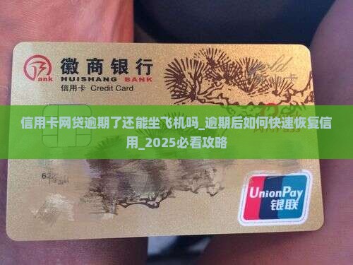 信用卡网贷逾期了还能坐飞机吗