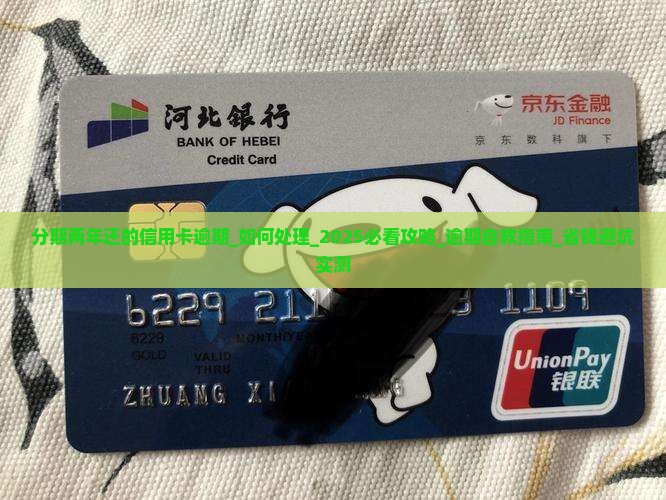 分期两年还的信用卡逾期如何处理
