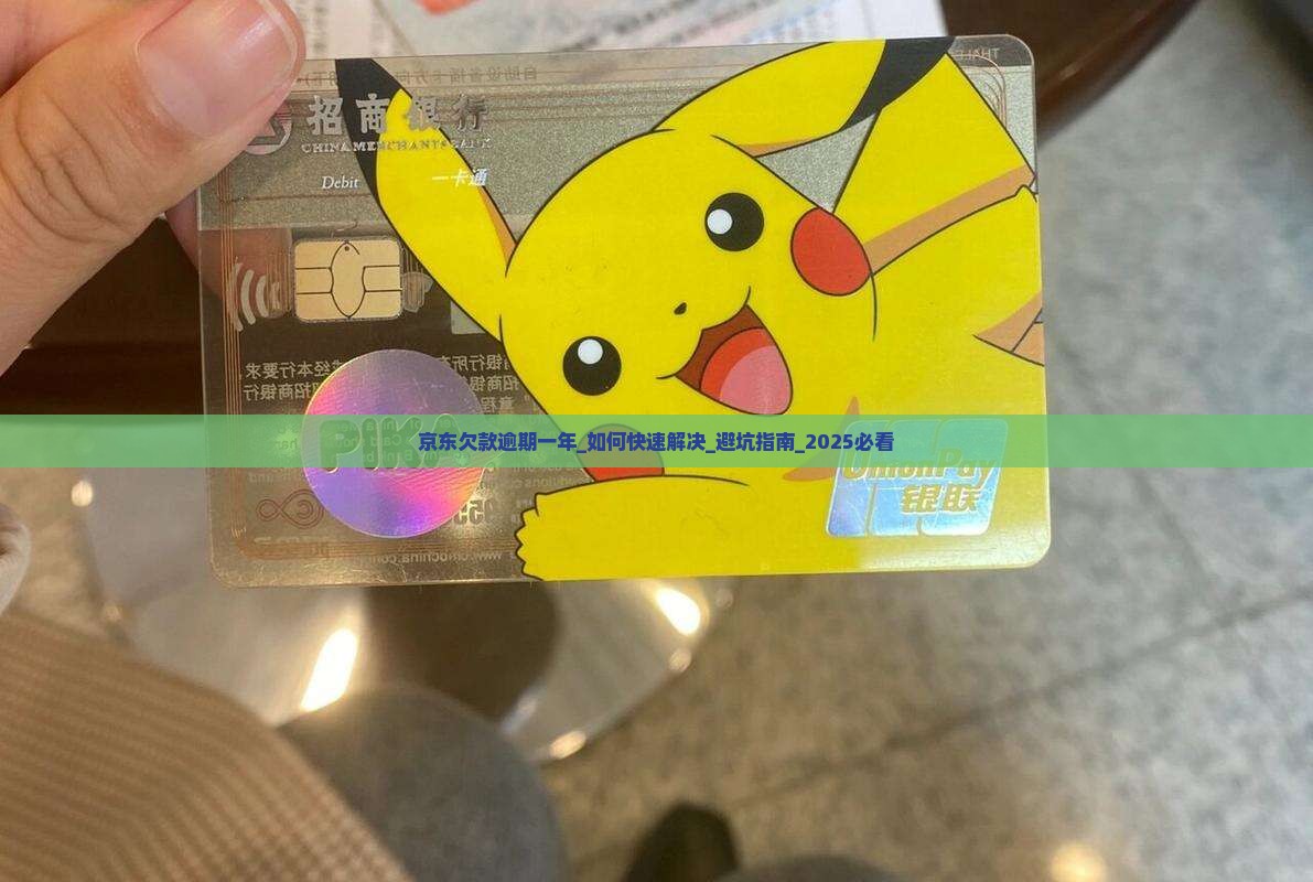 京东欠款逾期一年
