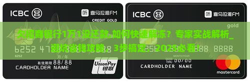 欠招商银行1万1没还款