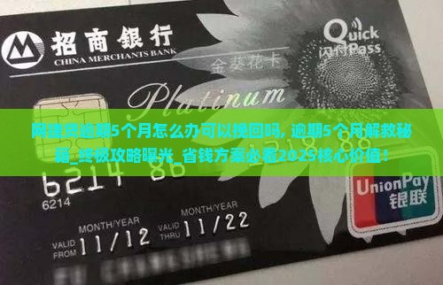 网捷贷逾期5个月怎么办可以挽回吗
