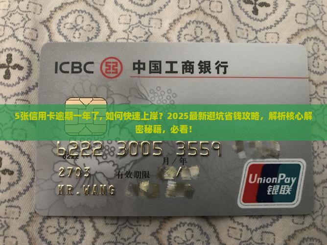5张信用卡逾期一年了
