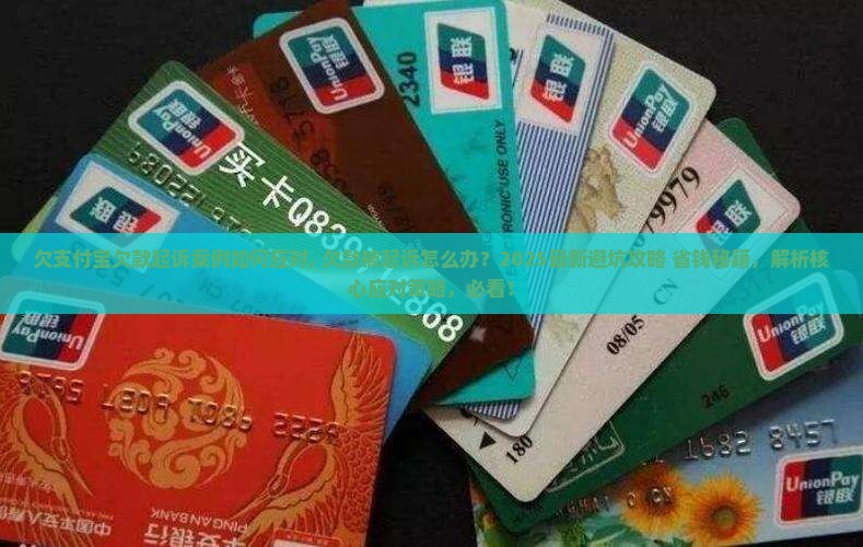 欠支付宝欠款起诉案例如何应对