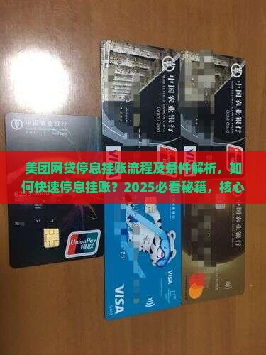美团网贷停息挂账流程及条件解析