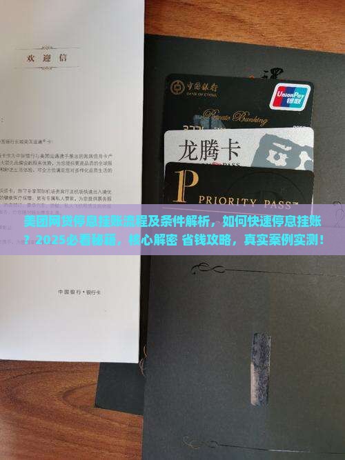 美团网贷停息挂账流程及条件解析