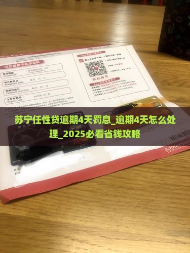 苏宁任性贷逾期4天罚息
