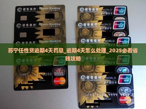 苏宁任性贷逾期4天罚息