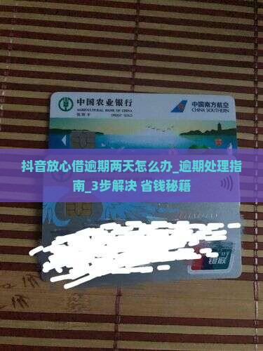 抖音放心借逾期两天怎么办