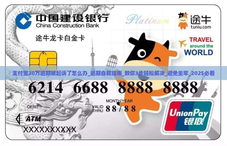 支付宝20万逾期被起诉了怎么办