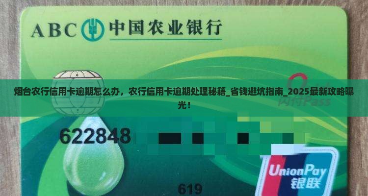 烟台农行信用卡逾期怎么办