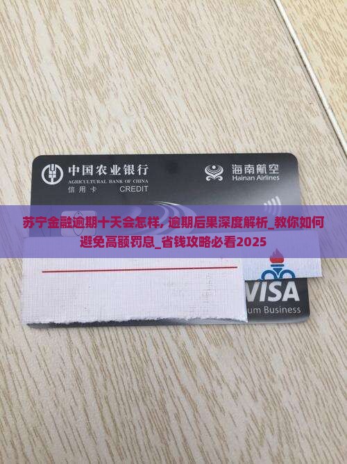 苏宁金融逾期十天会怎样