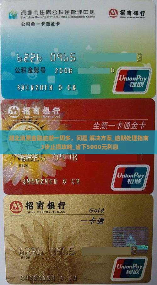 湖北消费金融逾期一周多应该怎么处理