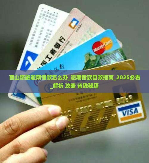 首山悠融逾期借款怎么办