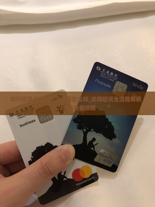 农行信用卡逾期起诉流程怎么样
