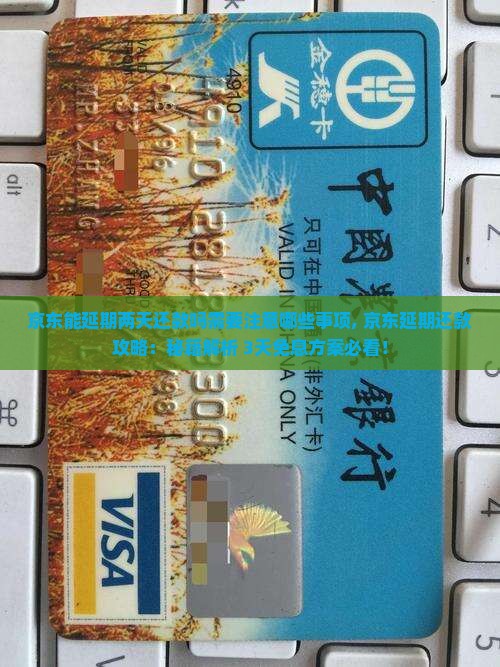 京东白条能延期两天还款吗需要注意哪些事项